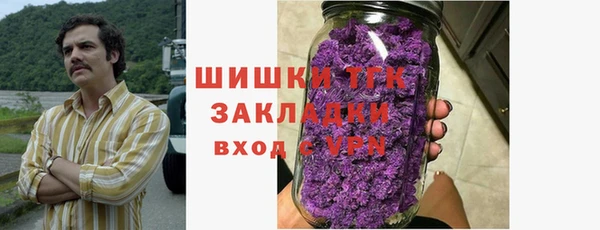 Альфа ПВП Аркадак