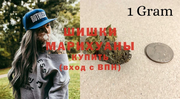 Альфа ПВП Аркадак
