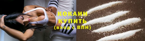 спайс Алексин
